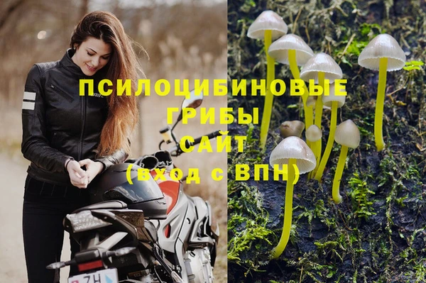 прущая мука Беломорск