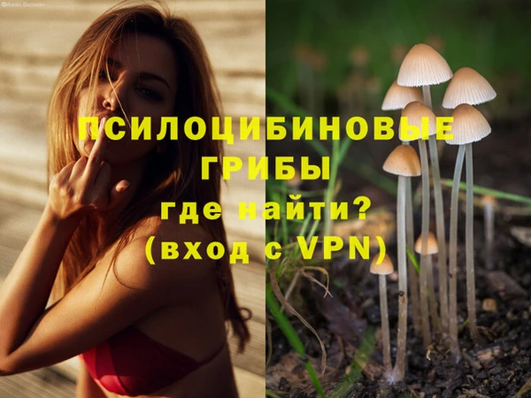 молекула духа Белокуриха