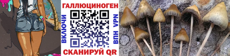 что такое   сайты даркнета наркотические препараты  Псилоцибиновые грибы GOLDEN TEACHER  Дагестанские Огни 